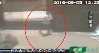 美女成人视频,一场视觉与情感的盛宴