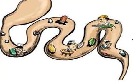 黄煌经方讲座视频,深入浅出中医经典方剂解析